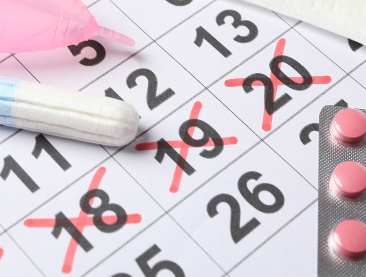 Menstrual Leave Policy by Sikkim High Court Sipping thoughts