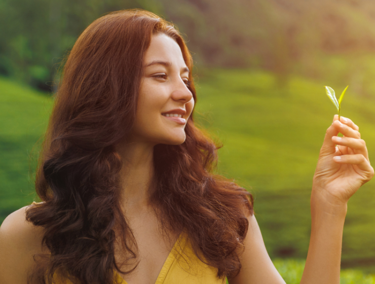 best herbal teas to soothe your anxiety