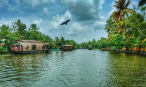 Indian destinations for solo women travelers - sipping thoughts 3