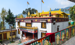 Indian destinations for solo women travelers - sipping thoughts 6