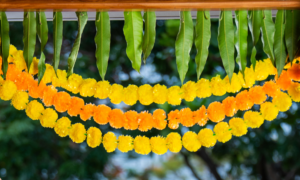 vastu tips for diwali - sipping thoughts 2