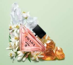 winter perfumes for women - sipping thoughts 6