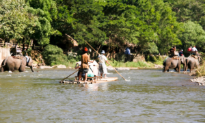 Travel destination in India for nature lovers- sipping thoughts 2